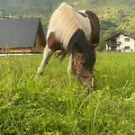 Jajce 1 * Jezero (Republika Srpska)
