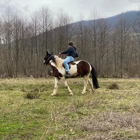 Villa Jajce 1 Jezero (Republika Srpska)