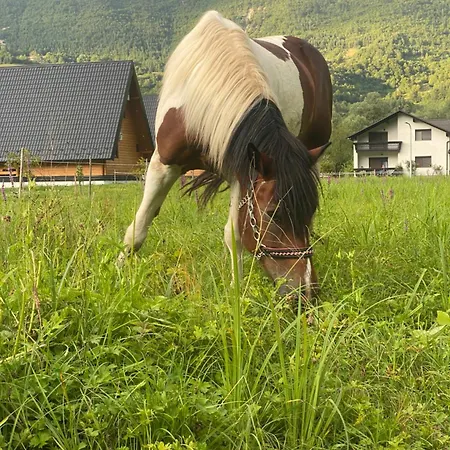 Jajce 1 * Jezero (Republika Srpska)