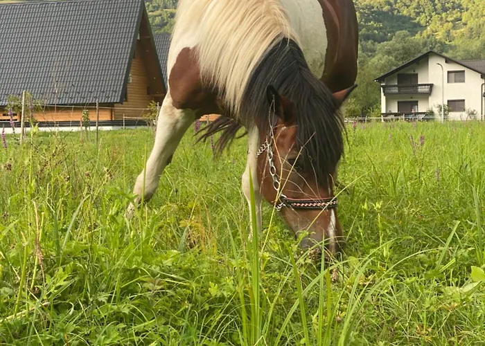 Jajce 1 * Jezero (Republika Srpska)
